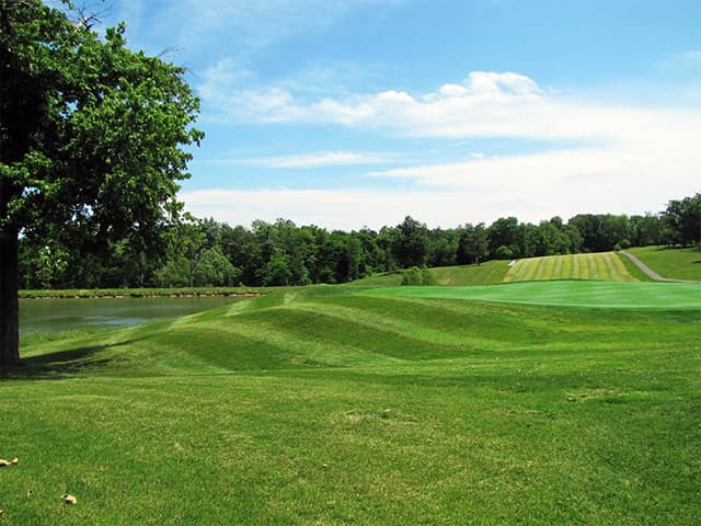 Hero Background Image