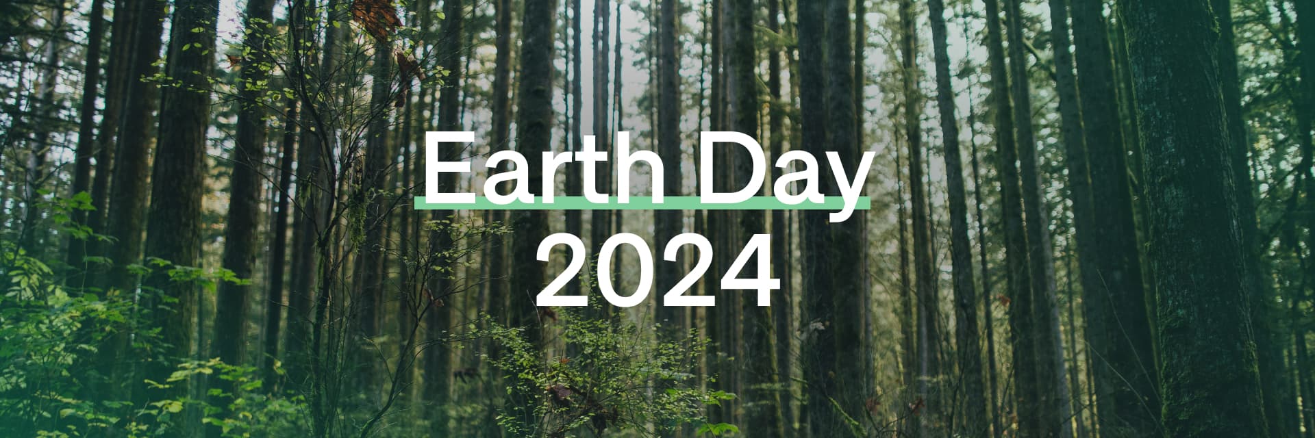 Hero Background Image