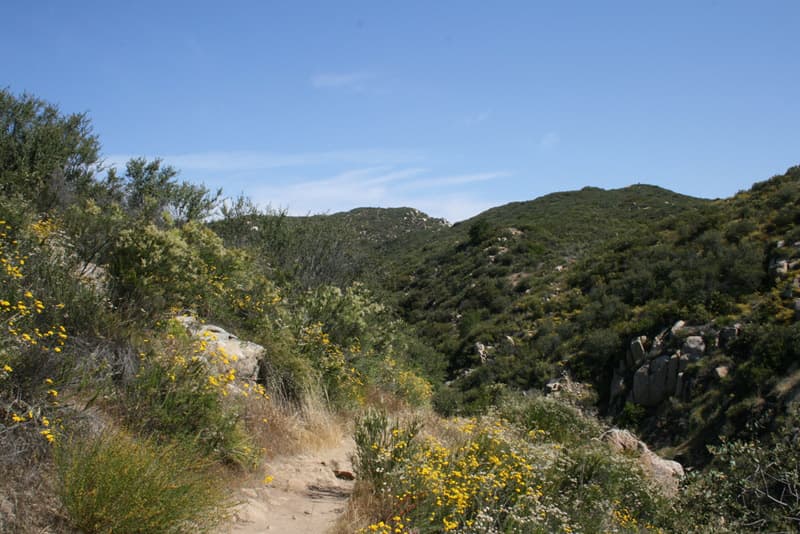 Hero Background Image