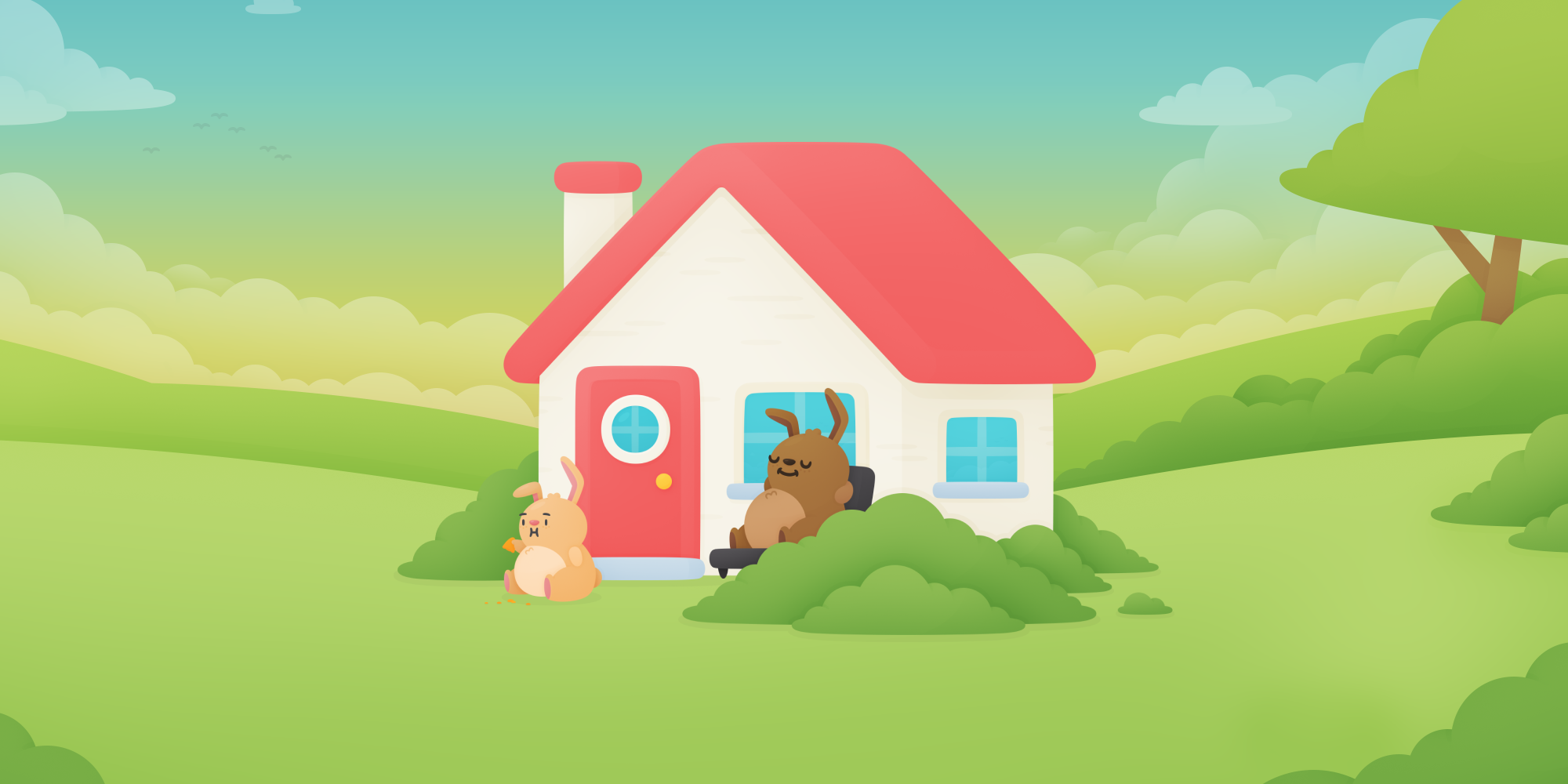 Hero Background Image