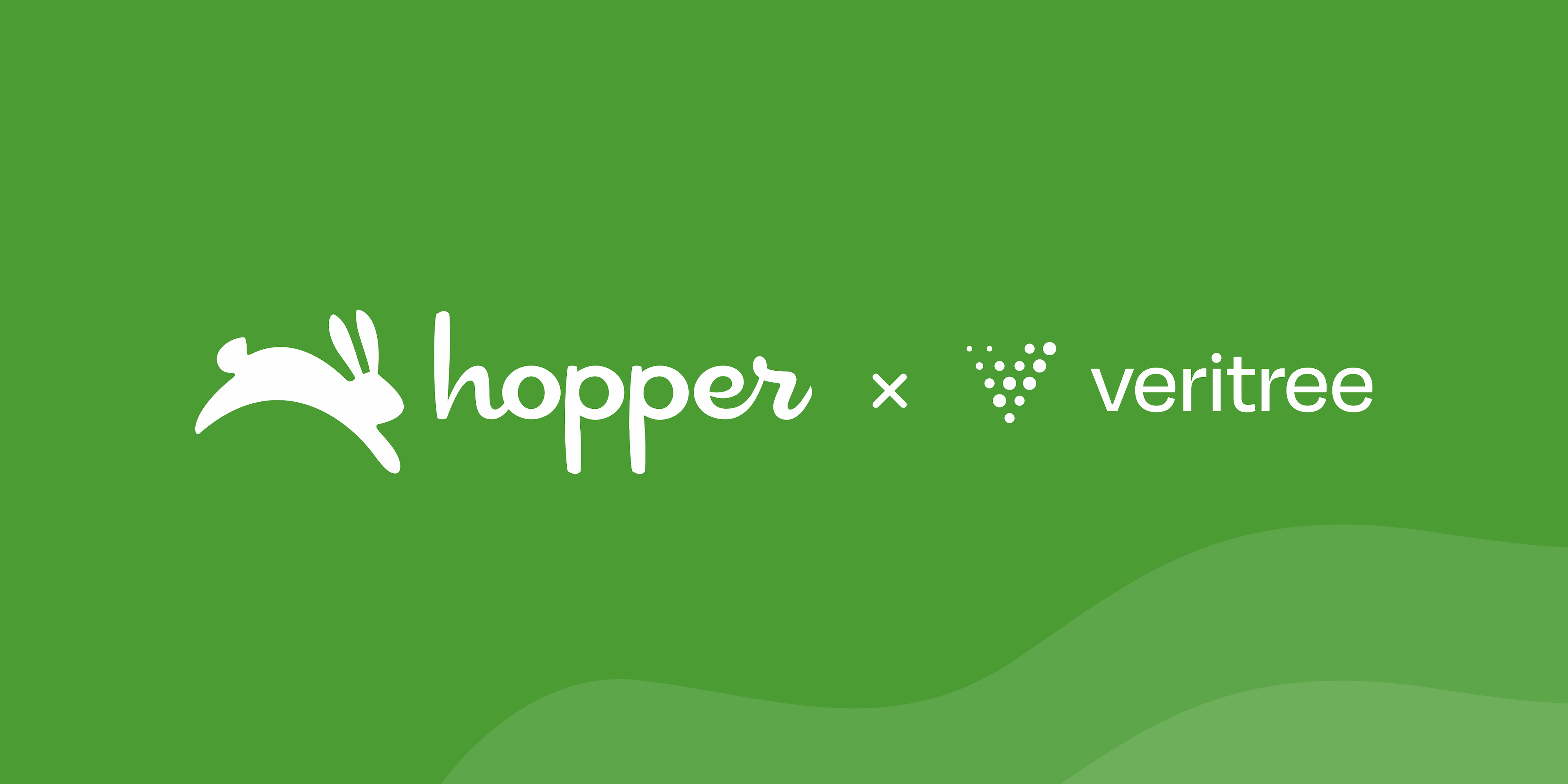 Hero Background Image